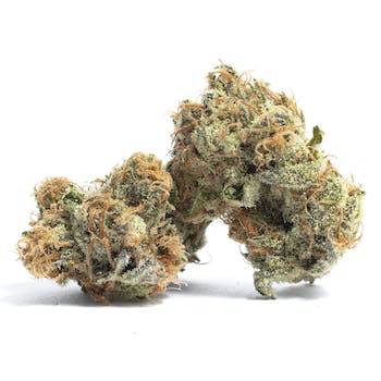 Purple Candy Strain