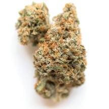 Sundae Driver Strain