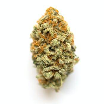 orange crush strain