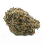 Crystal Coma - Popeyes Signature Series