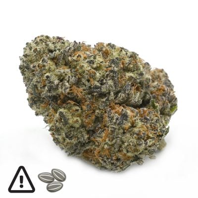 Death Rockstar - Popeyes Signature Series