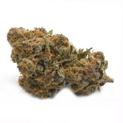 Sunshine Daydream - Popeyes Platinum Collection