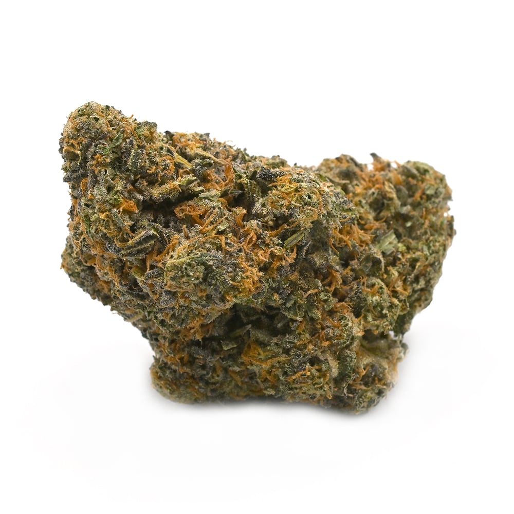 Apple Fritter - Thunder Buddies
