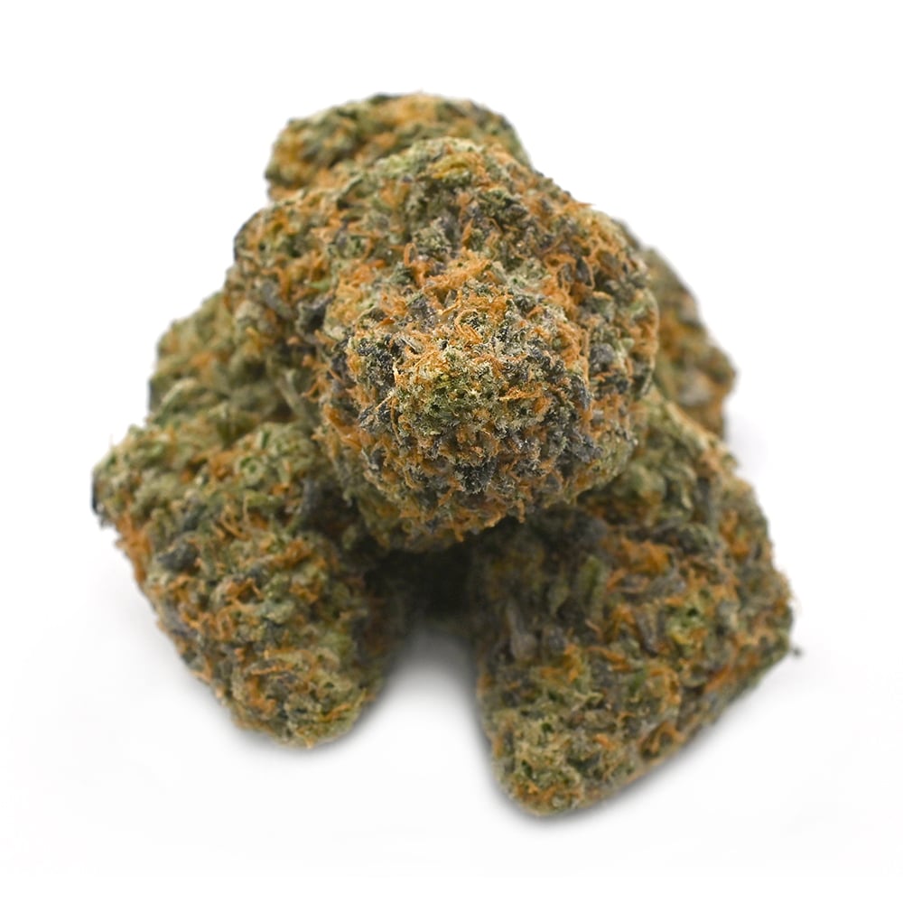 Apple Fritter - Thunder Buddies - Image 2
