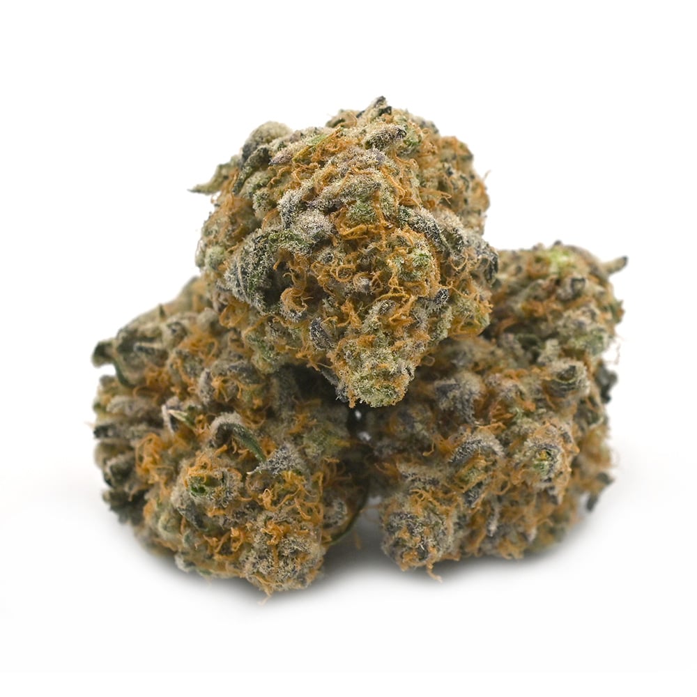 Gush Mintz - Popeyes Signature Series - Image 2