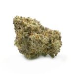 Alien OG - Thunder Buddies
