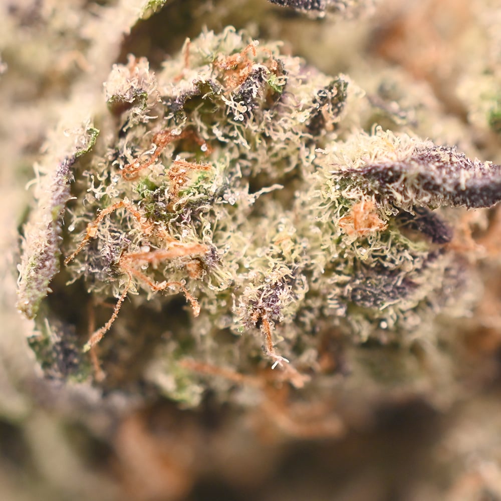 Juice Box - Popeyes Ganja Bags - Retro - Image 4