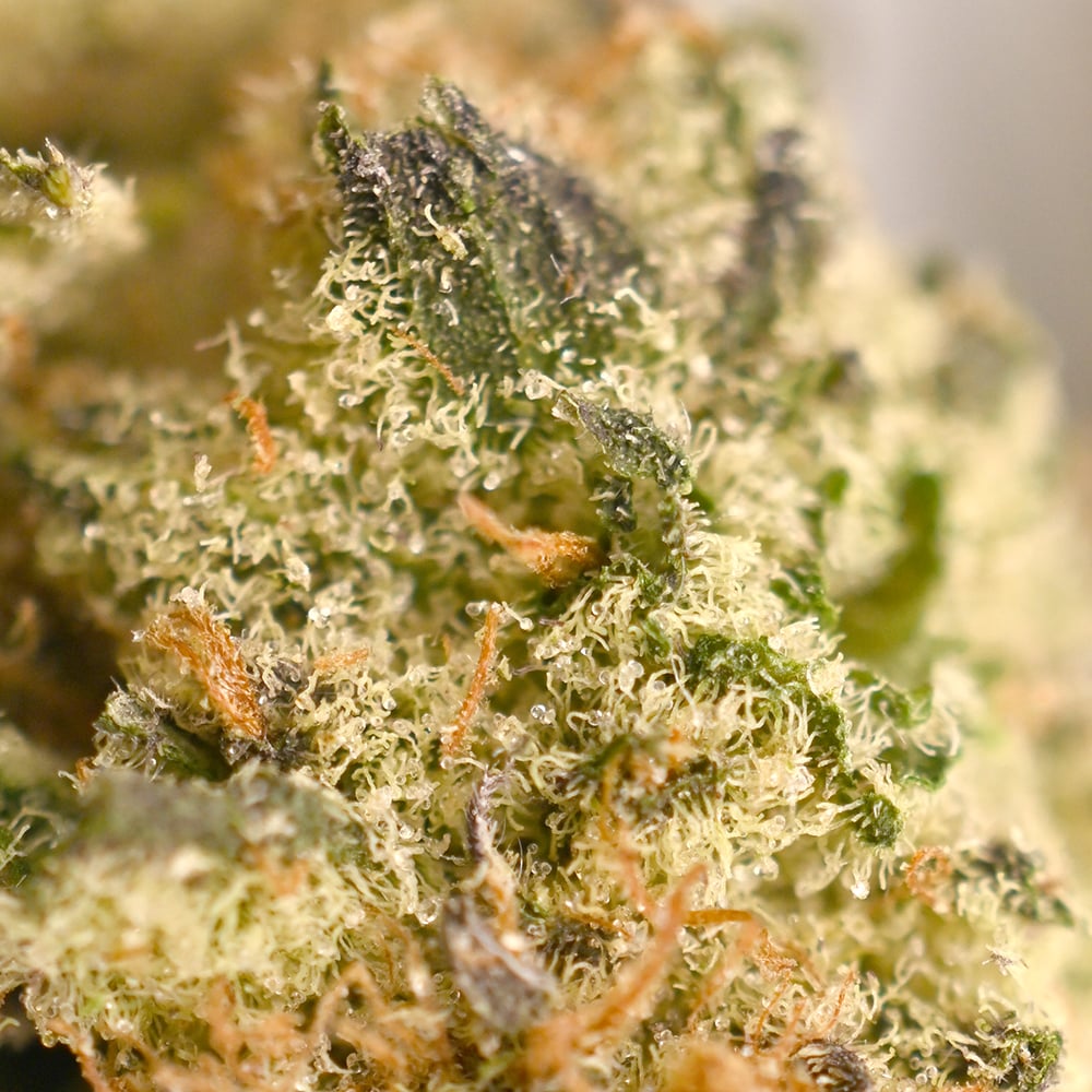 Juice Box - Popeyes Ganja Bags - Retro - Image 5
